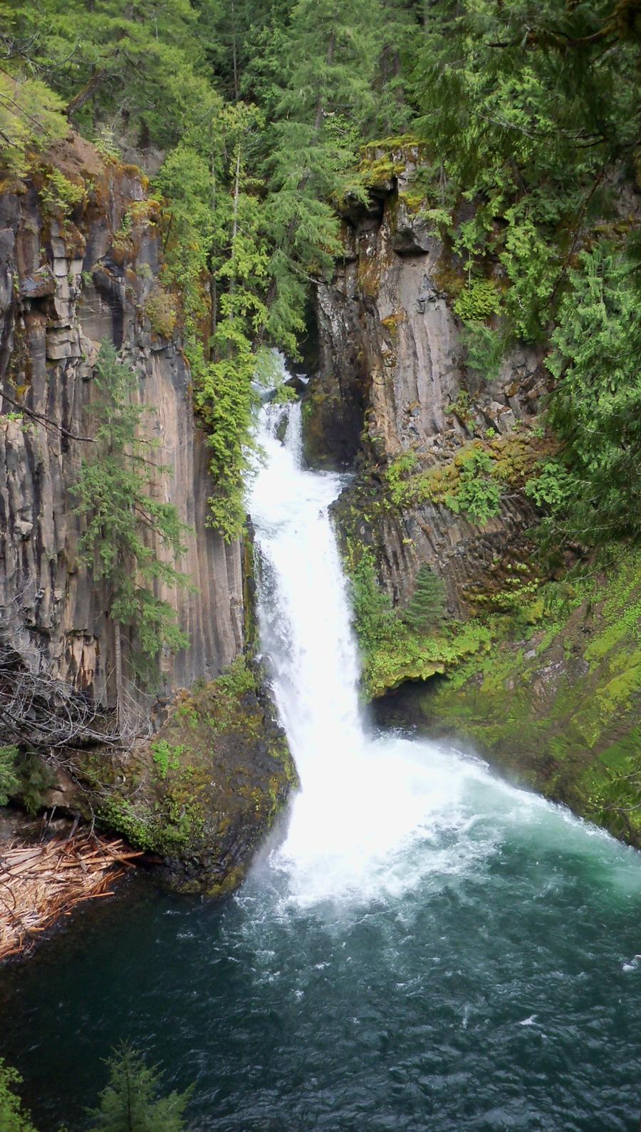 10 - 102677 - Toketee Falls, Oregon - 